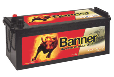 Banner introduces the Buffalo Bull AGM