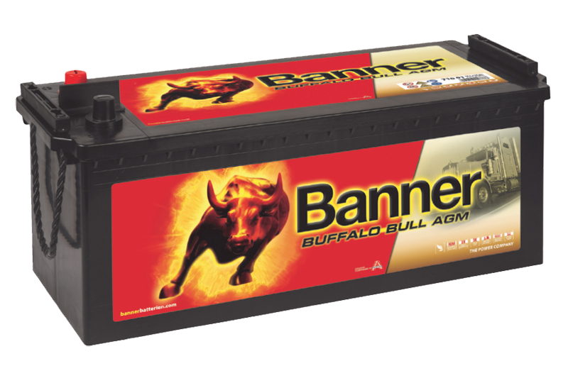 Banner introduces the Buffalo Bull AGM
